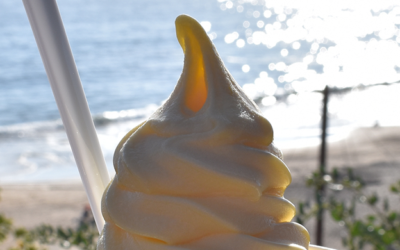 New Crystal Cove Rewards